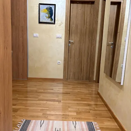 Apartment Dina Lux