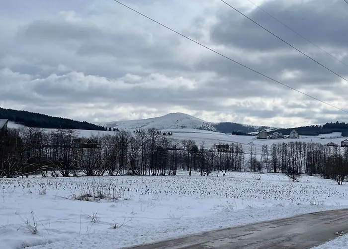 Apartment Dina Lux Zlatibor