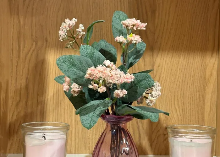 Apartment Dina Lux *